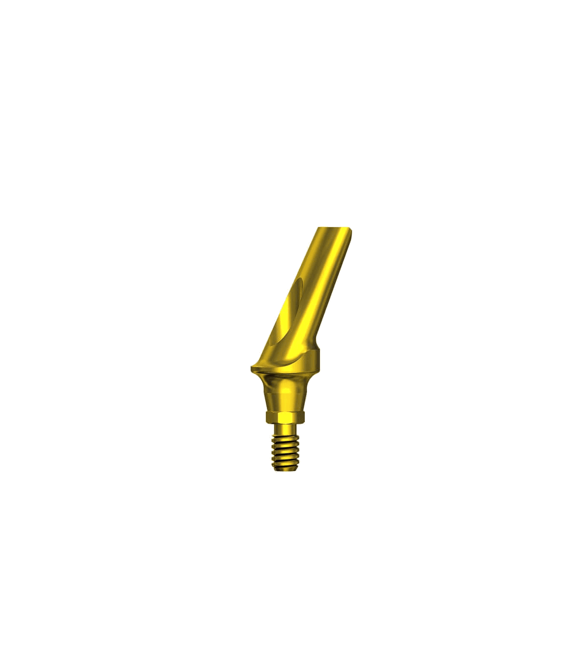 Esthetic Angled Titanium Abutment 25° CHC