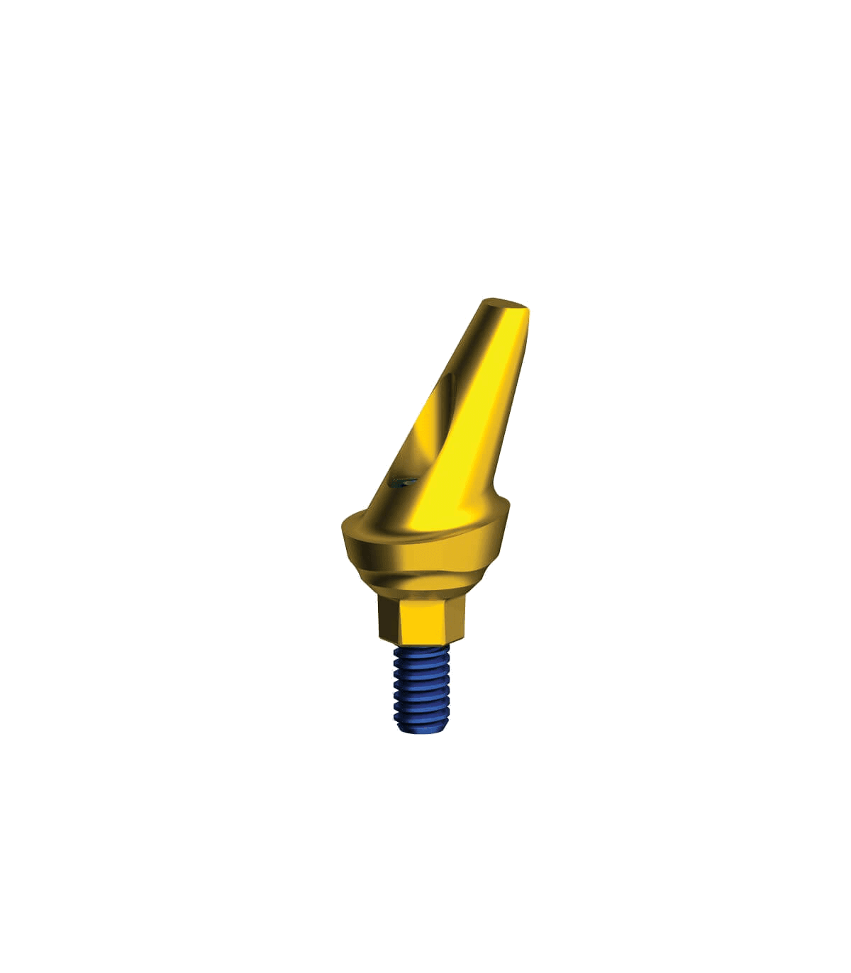 Short Esthetic Anatomic Abutment 25°
