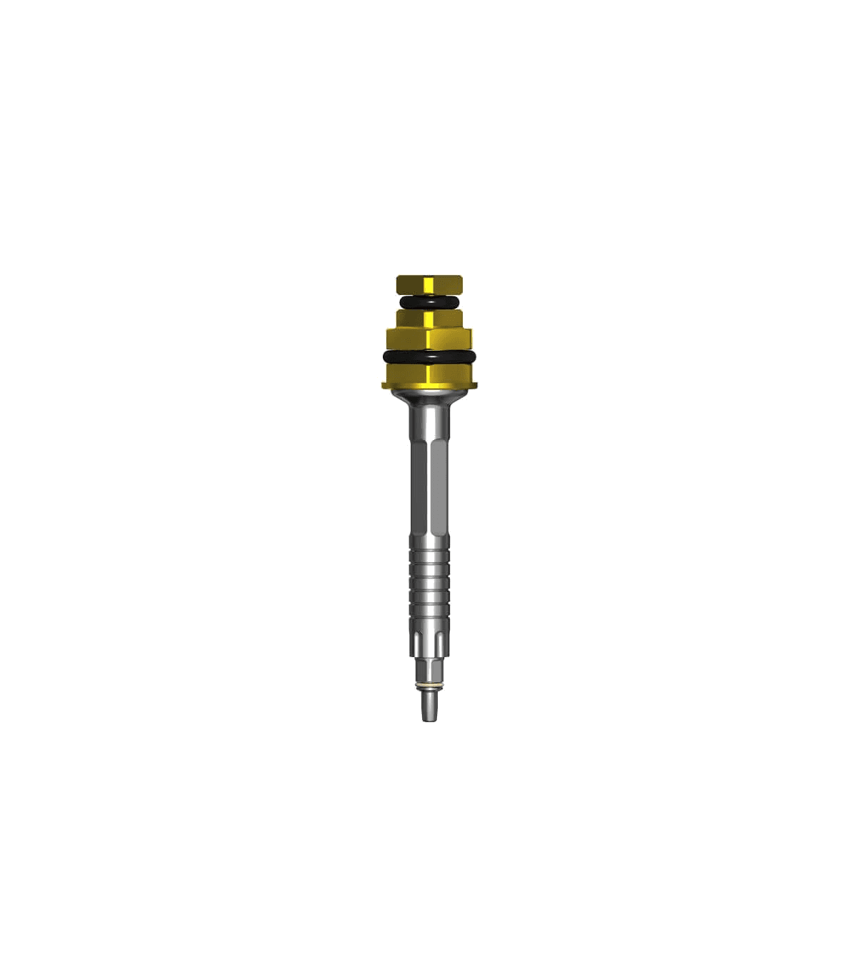 Implant Mount CHC